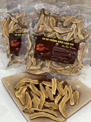 Linh Chi Rừng Kbang - Gia Lai449074916_122108093546370225_7355960062477256231_n